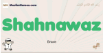 Shahnawaz muslim boys name and meaning, islamic boys name Shahnawaz