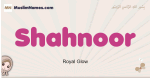 Shahnoor muslim girls name and meaning, islamic girls name Shahnoor