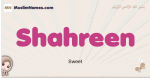Shahreen muslim girls name and meaning, islamic girls name Shahreen