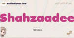 Shahzaadee muslim girls name and meaning, islamic girls name Shahzaadee