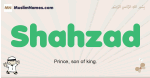 Shahzad muslim boys name and meaning, islamic boys name Shahzad