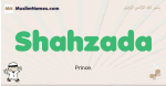 Shahzada muslim boys name and meaning, islamic boys name Shahzada