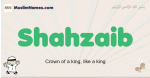 Shahzaib muslim boys name and meaning, islamic boys name Shahzaib
