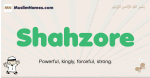 Shahzore muslim boys name and meaning, islamic boys name Shahzore
