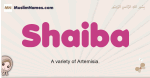 Shaiba muslim girls name and meaning, islamic girls name Shaiba
