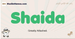 Shaida muslim boys name and meaning, islamic boys name Shaida