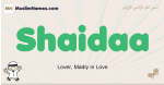 Shaidaa muslim boys name and meaning, islamic boys name Shaidaa
