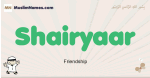 Shairyaar muslim boys name and meaning, islamic boys name Shairyaar