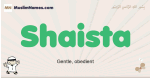 Shaista muslim boys name and meaning, islamic boys name Shaista