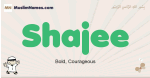 Shajee muslim boys name and meaning, islamic boys name Shajee