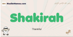 Shakirah muslim boys name and meaning, islamic boys name Shakirah