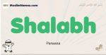 Shalabh muslim boys name and meaning, islamic boys name Shalabh