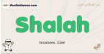 Shalah muslim boys name and meaning, islamic boys name Shalah