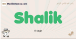 Shalik muslim boys name and meaning, islamic boys name Shalik
