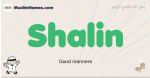 Shalin muslim boys name and meaning, islamic boys name Shalin
