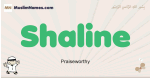 Shaline muslim boys name and meaning, islamic boys name Shaline