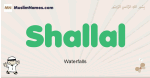 Shallal muslim boys name and meaning, islamic boys name Shallal