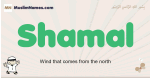 Shamal muslim boys name and meaning, islamic boys name Shamal