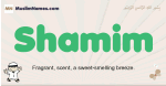 Shamim muslim boys name and meaning, islamic boys name Shamim