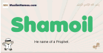 Shamoil muslim boys name and meaning, islamic boys name Shamoil