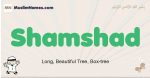 Shamshad muslim boys name and meaning, islamic boys name Shamshad