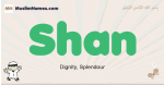 Shan muslim boys name and meaning, islamic boys name Shan