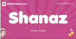Shanaz arabic girls name and meaning, muslim girl name Shanaz