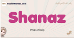Shanaz muslim girls name and meaning, islamic girls name Shanaz