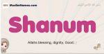 Shanum muslim girls name and meaning, islamic girls name Shanum