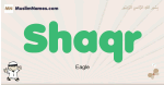 Shaqr muslim boys name and meaning, islamic boys name Shaqr