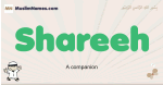 Shareeh muslim boys name and meaning, islamic boys name Shareeh