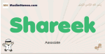Shareek muslim boys name and meaning, islamic boys name Shareek