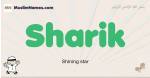 Sharik muslim boys name and meaning, islamic boys name Sharik