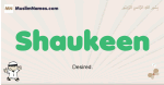 Shaukeen muslim boys name and meaning, islamic boys name Shaukeen
