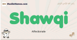 Shawqi muslim boys name and meaning, islamic boys name Shawqi