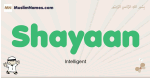 Shayaan muslim boys name and meaning, islamic boys name Shayaan