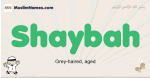Shaybah muslim boys name and meaning, islamic boys name Shaybah