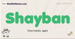Shayban muslim boys name and meaning, islamic boys name Shayban