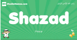 Shazad arabic boys name and meaning, quranic boys name Shazad