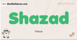 Shazad muslim boys name and meaning, islamic boys name Shazad