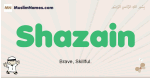 Shazain muslim boys name and meaning, islamic boys name Shazain