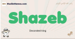Shazeb muslim boys name and meaning, islamic boys name Shazeb
