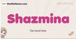 Shazmina muslim girls name and meaning, islamic girls name Shazmina