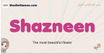 Shazneen muslim girls name and meaning, islamic girls name Shazneen