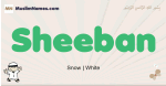Sheeban muslim boys name and meaning, islamic boys name Sheeban