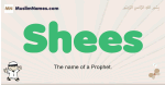 Shees muslim boys name and meaning, islamic boys name Shees