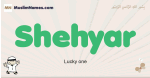 Shehyar muslim boys name and meaning, islamic boys name Shehyar