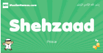 Shehzaad arabic boys name and meaning, quranic boys name Shehzaad