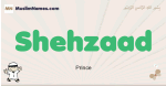 Shehzaad muslim boys name and meaning, islamic boys name Shehzaad