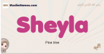 Sheyla muslim girls name and meaning, islamic girls name Sheyla